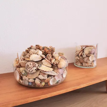 A Nossa Casa Da Costa *